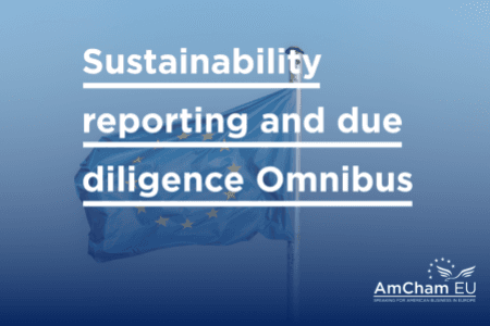 Omnibus: report adopted by JURI Committee