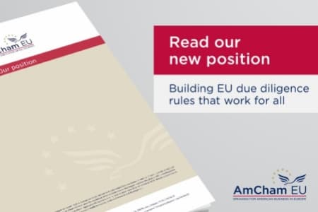 Building EU due diligence rules that work for all