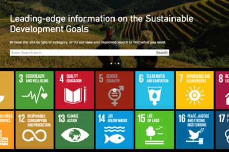 Sustaining goals and sustaining action