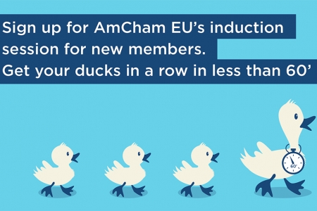 ducks
