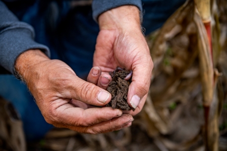 Cargill regenerative agriculture