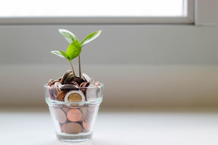 Plant growing in cup of coins: sustainable finance A plant growing in cup of coins to show sustainable finance