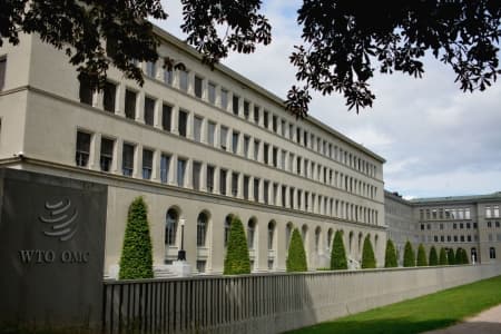 WTO MC12: building back multilateralism after COVID-19
