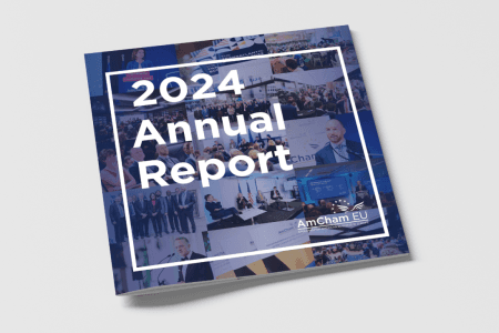 Reflecting on a pivotal year: read our Annual Report 2024 