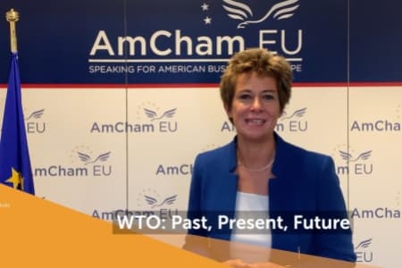 Susan Danger, CEO, AmCham EU shares video marking 25th anniversary of the WTO