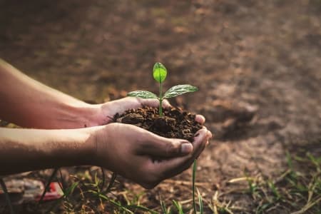 EU proposes ambitious steps towards financing Europe’s green transition