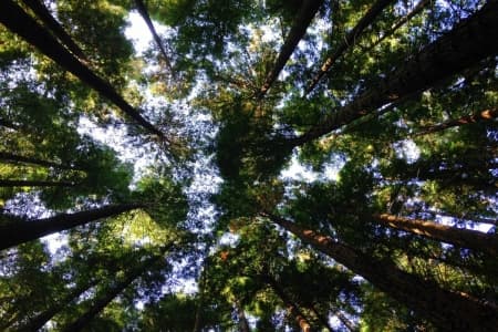 Investment-enabling environment key to making Europe ‘Fit for 55’