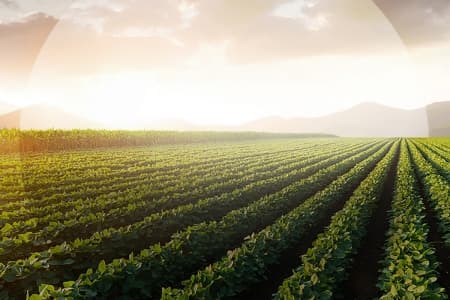 Reducing the amount of plastic in the supply chain and distribution network