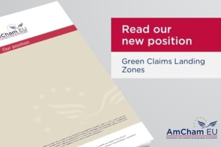 Green Claims Landing Zones